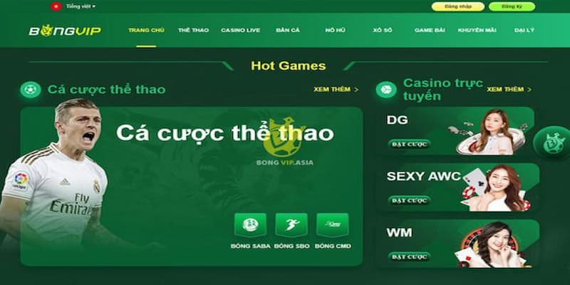 Bongvip - Trang kèo bóng đá cho dân chuyên bắt tỷ lệ sâu